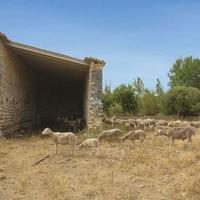 House in Spain, Balearic Islands, Palma, 6000 sq.m.