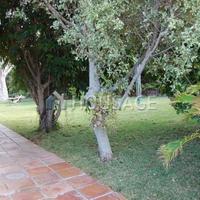 Вилла в Испании, Канарские Острова, Санта-Крус-де-Тенерифе, 300 кв.м.