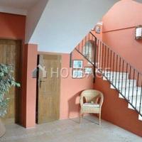 Вилла в Испании, Канарские Острова, Санта-Крус-де-Тенерифе, 8850 кв.м.