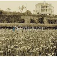 Вилла в Испании, Канарские Острова, Санта-Крус-де-Тенерифе, 777 кв.м.