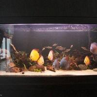 Вилла в Испании, Андалусия, 1500 кв.м.