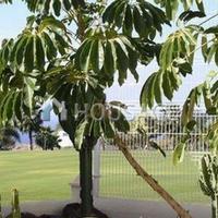 Villa in Spain, Canary Islands, Santa Cruz de Tenerife, 877 sq.m.