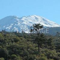 Villa in Spain, Canary Islands, Santa Cruz de Tenerife, 269 sq.m.