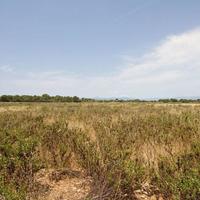 Дом в Испании, Балеарские Острова, Пальма, 2500 кв.м.