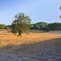 Дом в Испании, Балеарские Острова, Пальма, 244 кв.м.