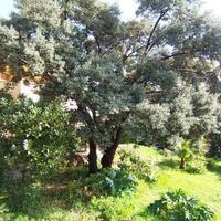 Вилла в Испании, Балеарские Острова, Пальма, 460 кв.м.