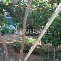 Villa in Spain, Canary Islands, Santa Cruz de Tenerife, 1400 sq.m.