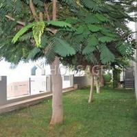 Villa in Spain, Canary Islands, Santa Cruz de Tenerife, 1235 sq.m.