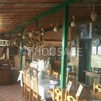 Villa in Spain, Canary Islands, Santa Cruz de Tenerife