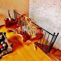 Вилла в Испании, Канарские Острова, Санта-Крус-де-Тенерифе, 595 кв.м.