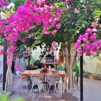 Дом в Испании, Каталония, Багур, 150 кв.м.