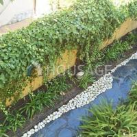 Дом в Испании, Каталония, Багур, 150 кв.м.