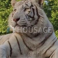 Villa in Spain, Catalunya, Begur, 850 sq.m.