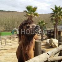 Villa in Spain, Catalunya, Begur, 850 sq.m.