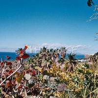 Villa in Spain, Canary Islands, Santa Cruz de Tenerife, 2693 sq.m.