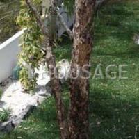 Villa in Spain, Canary Islands, Santa Cruz de Tenerife, 1500 sq.m.