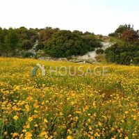 Вилла на Кипре, Лимасол, 241 кв.м.