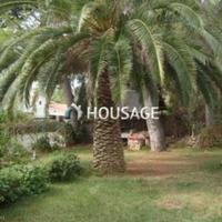 Вилла в Испании, Каталония, Багур, 300 кв.м.