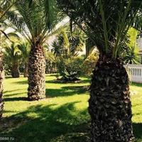 Квартира в Испании, Валенсия, Аликанте, 65 кв.м.