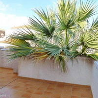 House in Spain, Comunitat Valenciana, Alicante, 97 sq.m.