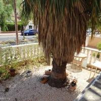 Apartment in Spain, Comunitat Valenciana, Alicante, 65 sq.m.