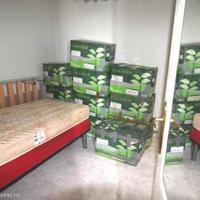 Apartment in Spain, Comunitat Valenciana, Alicante, 65 sq.m.