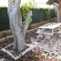 Apartment in Spain, Comunitat Valenciana, Alicante, 56 sq.m.