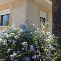 House in Spain, Comunitat Valenciana, Alicante, 130 sq.m.