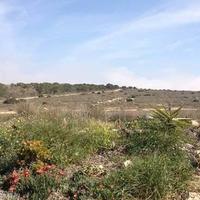 Apartment in Spain, Comunitat Valenciana, Alicante, 30 sq.m.