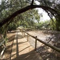 Апартаменты в Испании, Валенсия, Аликанте