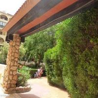 Flat in Spain, Comunitat Valenciana, Alicante, 45 sq.m.