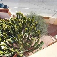 House in Spain, Comunitat Valenciana, Alicante, 90 sq.m.