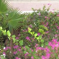 House at the first line of the sea / lake in Spain, Comunitat Valenciana, Alicante, 225 sq.m.