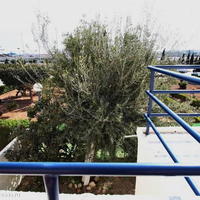 Townhouse in Spain, Comunitat Valenciana, Alicante, 60 sq.m.