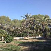 House in Spain, Comunitat Valenciana, Alicante, 225 sq.m.