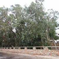 Flat in Spain, Comunitat Valenciana, Alicante, 50 sq.m.