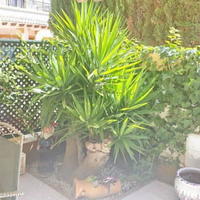 Таунхаус в Испании, Валенсия, Аликанте, 80 кв.м.