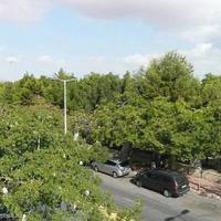 Flat in the city center in Spain, Comunitat Valenciana, Alicante, 70 sq.m.