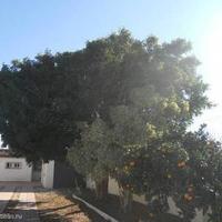 Вилла в Испании, Валенсия, Аликанте, 100 кв.м.