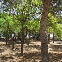 Вилла в Испании, Валенсия, Аликанте, 243 кв.м.