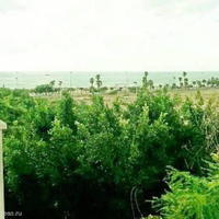 Квартира в Испании, Валенсия, Аликанте, 65 кв.м.