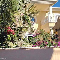 House in Spain, Comunitat Valenciana, Alicante, 500 sq.m.