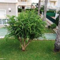 Townhouse in Spain, Comunitat Valenciana, Alicante, 80 sq.m.