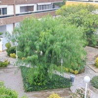 Квартира в Испании, Каталония, Багур, 95 кв.м.