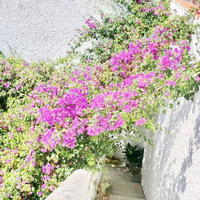 Дом в Испании, Каталония, Багур, 126 кв.м.