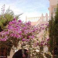 House in Spain, Comunitat Valenciana, Alicante