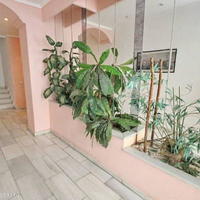 Flat in Spain, Comunitat Valenciana, Alicante, 45 sq.m.