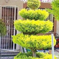 Дом в Испании, Валенсия, Аликанте