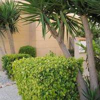 Квартира в Испании, Валенсия, Аликанте, 60 кв.м.