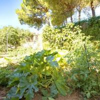 Вилла в Испании, Андалусия, 384 кв.м.